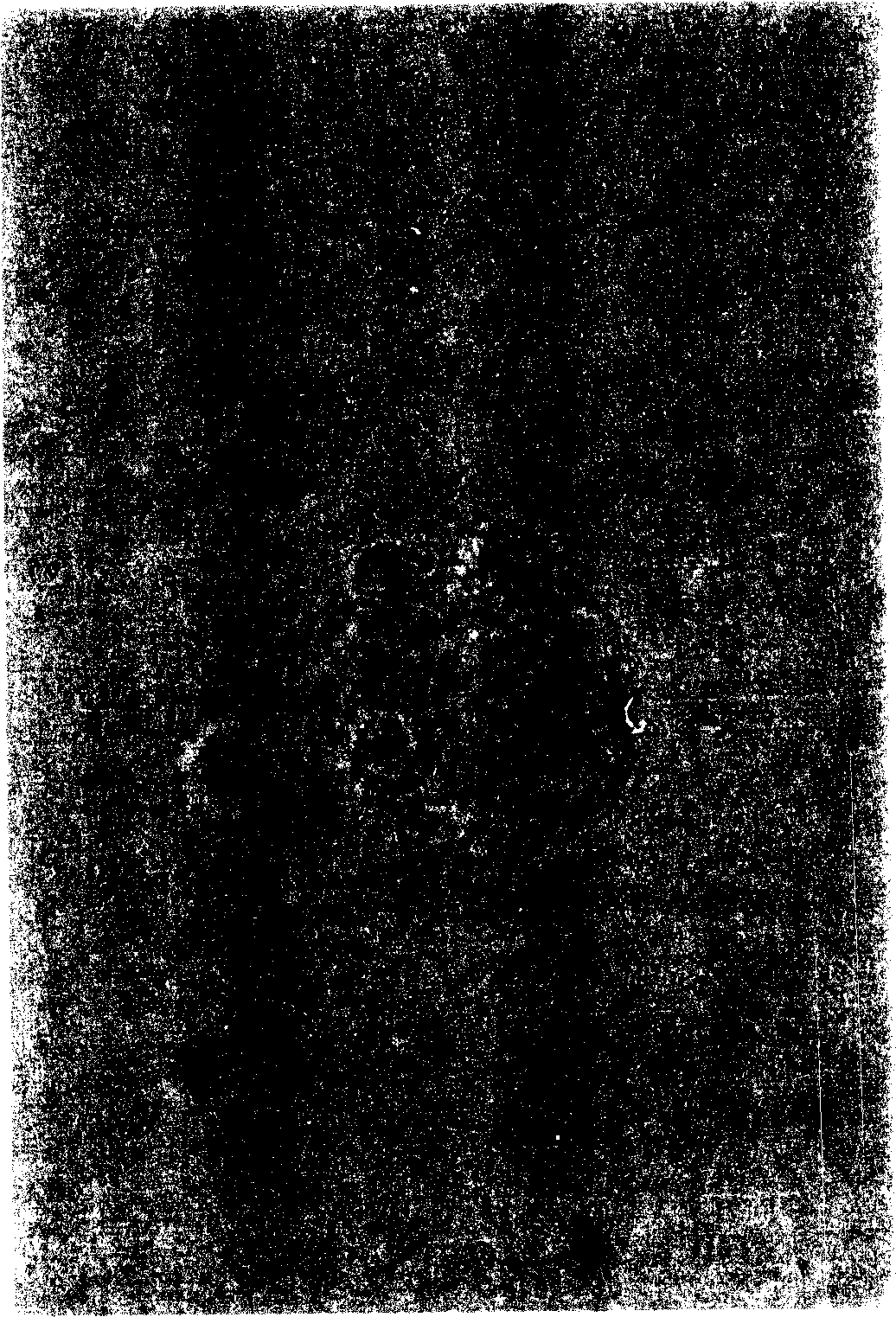 Method for establishing hematopoietic stem cells bank by extracting hematopoietic cells from placenta tissues