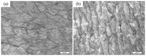 Preparation method of high-strength 2000-series aluminum alloy based on selective laser melting forming technology