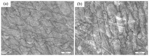 Preparation method of high-strength 2000-series aluminum alloy based on selective laser melting forming technology