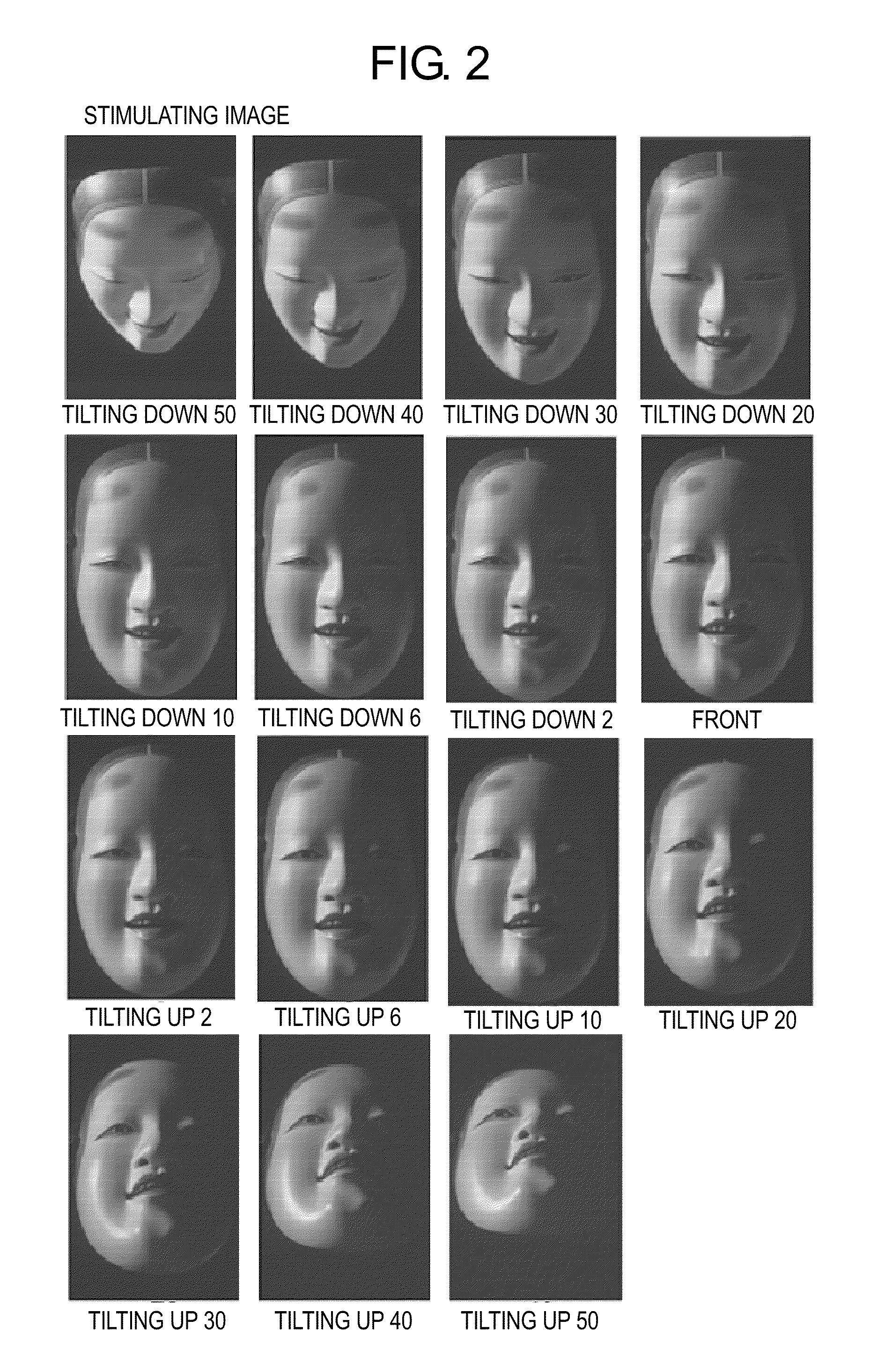 Psychotic manifestation and mental state evaluation apparatus and evaluation method