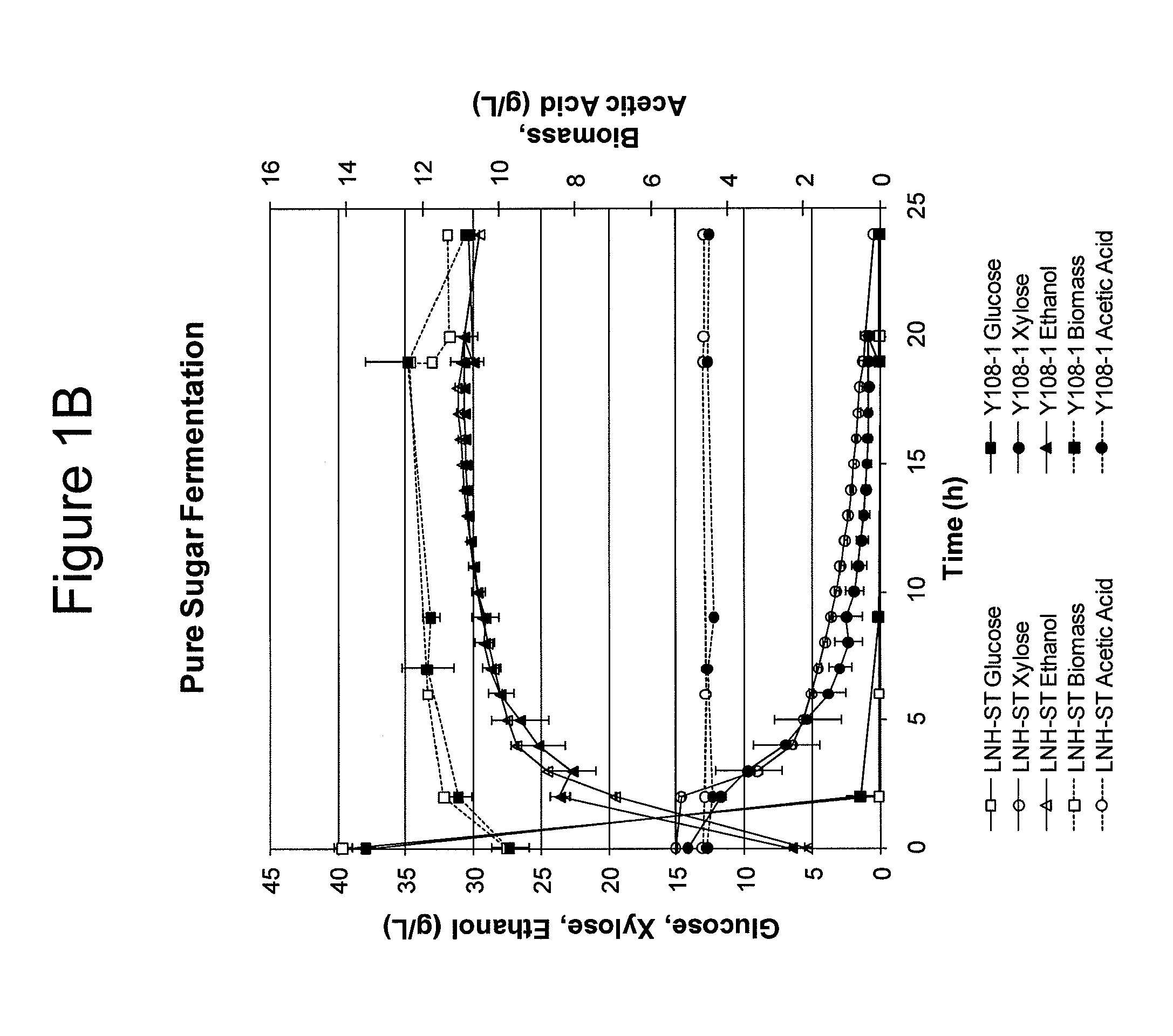 Modified yeast strains exhibiting enhanced fermentation of lignocellulosic hydrolysates