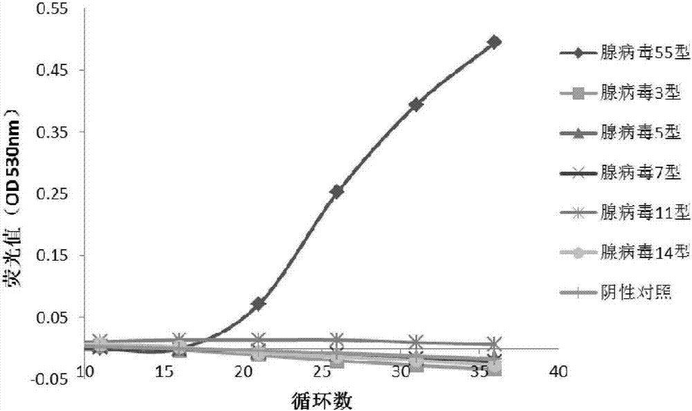 Primer pairs, primer-probe compositions and their applications for identifying human adenovirus type 55