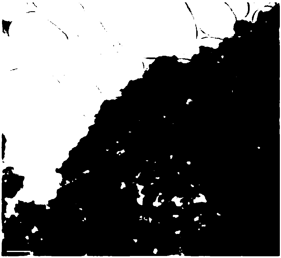 Carbon nitride and graphene composite material modified by organic dye and application of carbon nitride and graphene composite material