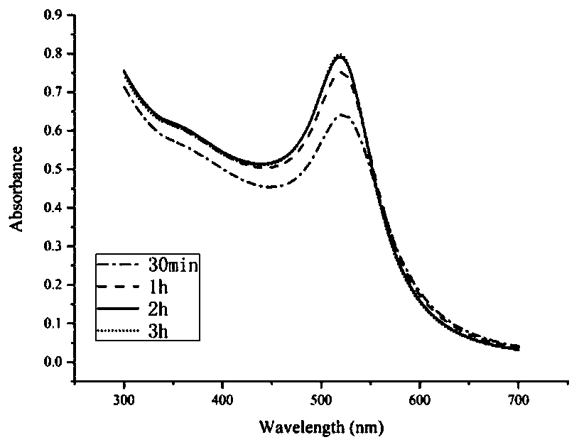 AuNPs/miR-140 compound as well as preparation method and application thereof