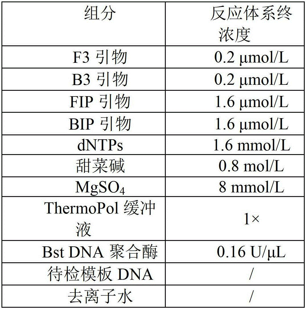 Vibrio parahaemolyticus detection primer set and detection method