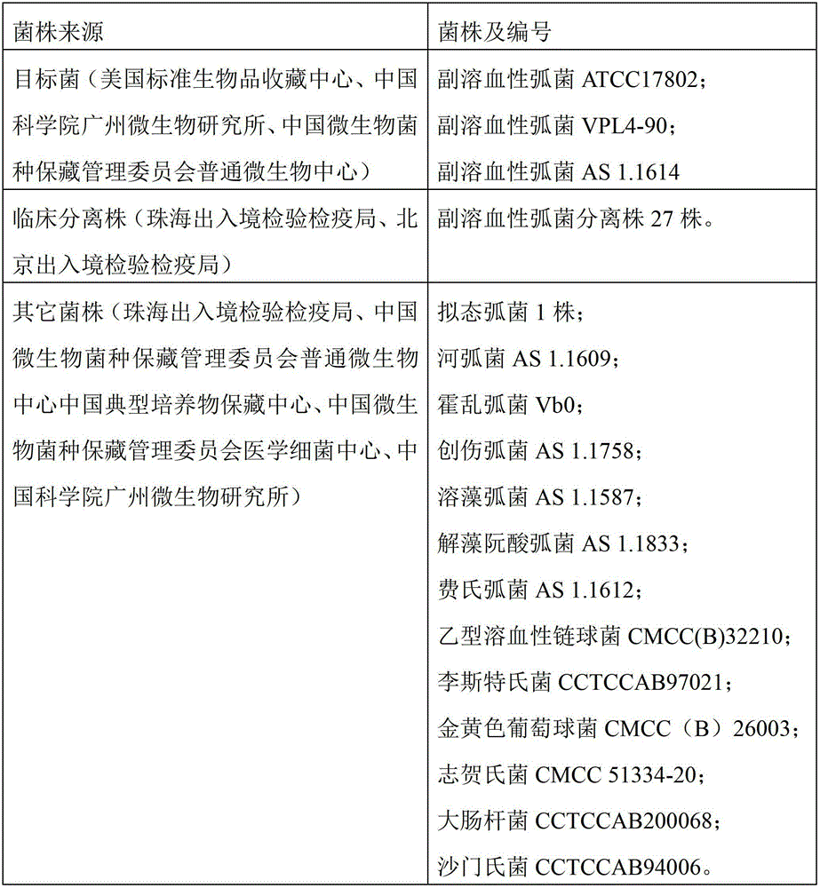 Vibrio parahaemolyticus detection primer set and detection method