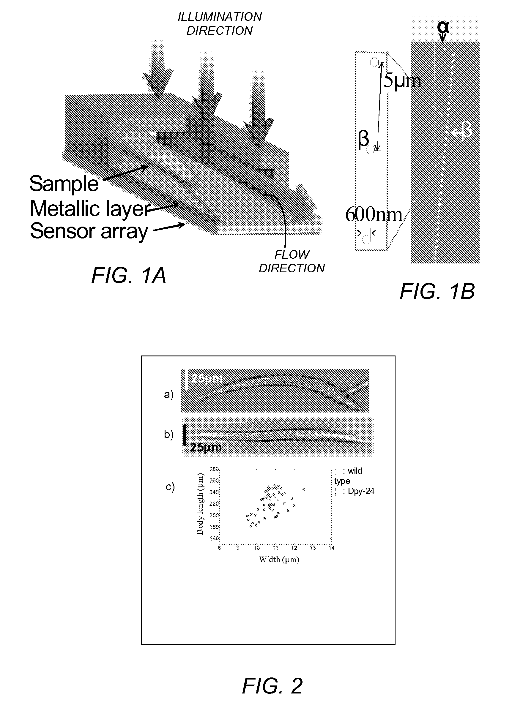 On-chip phase microscope/beam profiler based on differential interference contrast and/or surface plasmon assisted interference