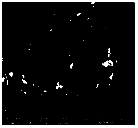 Aluminum oxide/titanium oxide heterojunction nano fiber carrier in anti-sintering precious metal catalyst system as well as preparation method and application of carrier