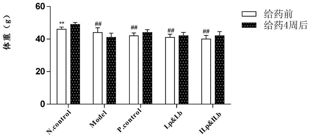 Application of inactivated lactic acid bacteria compound in preparation of product for treating and/or preventing diabetes