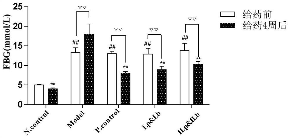 Application of inactivated lactic acid bacteria compound in preparation of product for treating and/or preventing diabetes