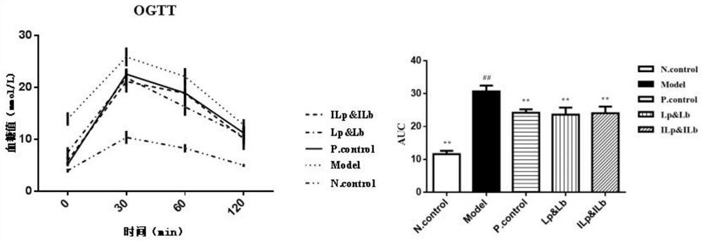 Application of inactivated lactic acid bacteria compound in preparation of product for treating and/or preventing diabetes