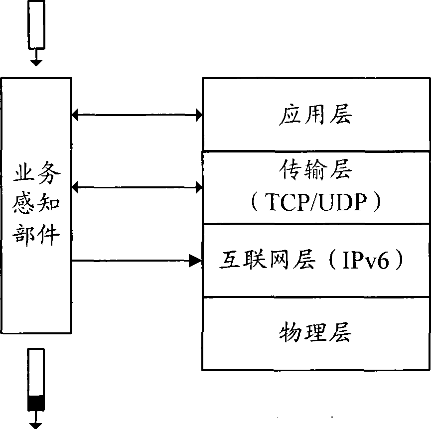 System and method for implementing self-governing QoS based on service network differentiation and IPv6 spreading head