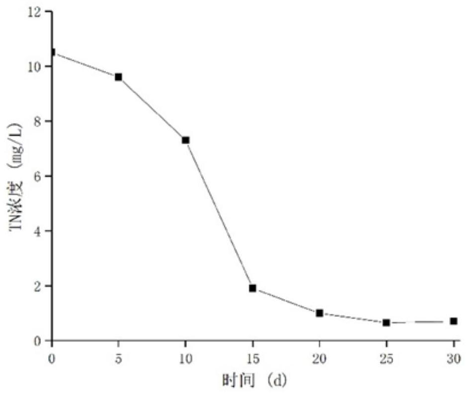 A kind of nitrogen and phosphorus removal ecological permeable material and preparation method thereof