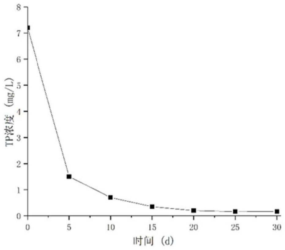 A kind of nitrogen and phosphorus removal ecological permeable material and preparation method thereof