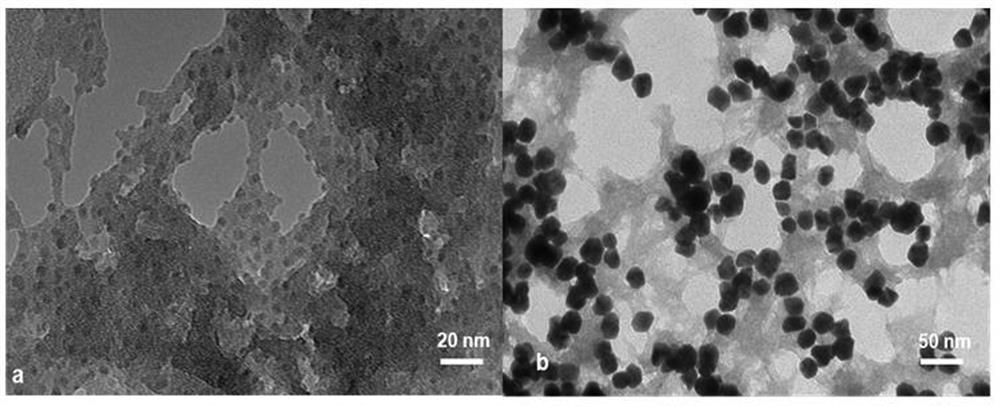 A method for visual detection of methylmercury based on DNA regulation of gold-amalgam growth