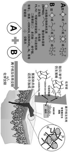 Water-based tissue adhesives