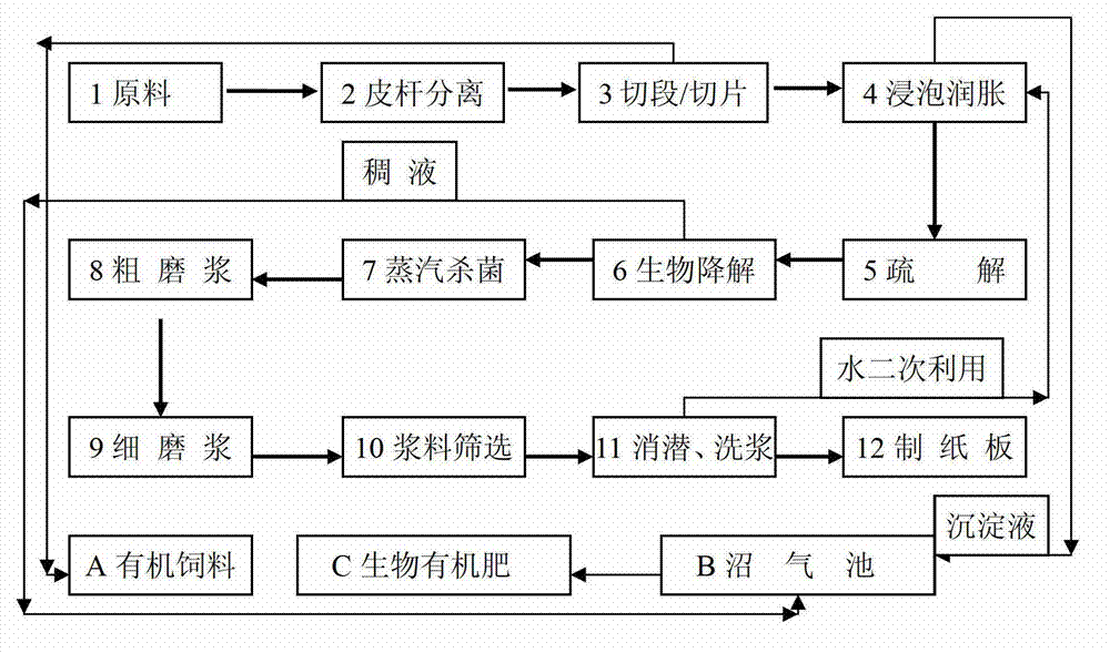 Compound bacteria and application in biological bacteria liquid pulping technology of compound bacteria