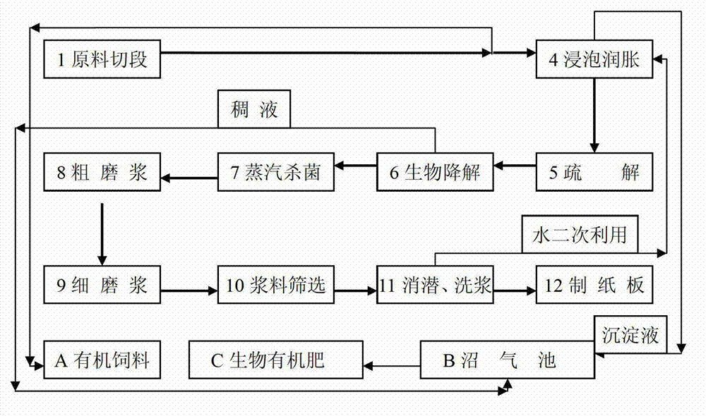 Compound bacteria and application in biological bacteria liquid pulping technology of compound bacteria