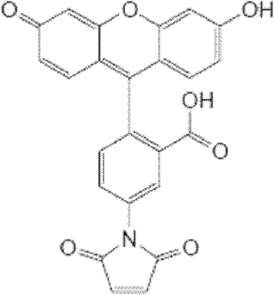 Aminoglycosides phosphate modifying enzyme and detection method for detecting antibiotics