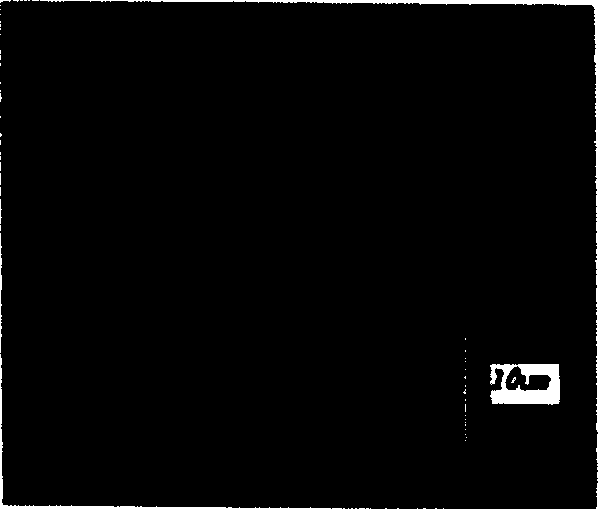 Preparation of grating device by utilizing ultrashort laser pulse and method for implementing holographic storage