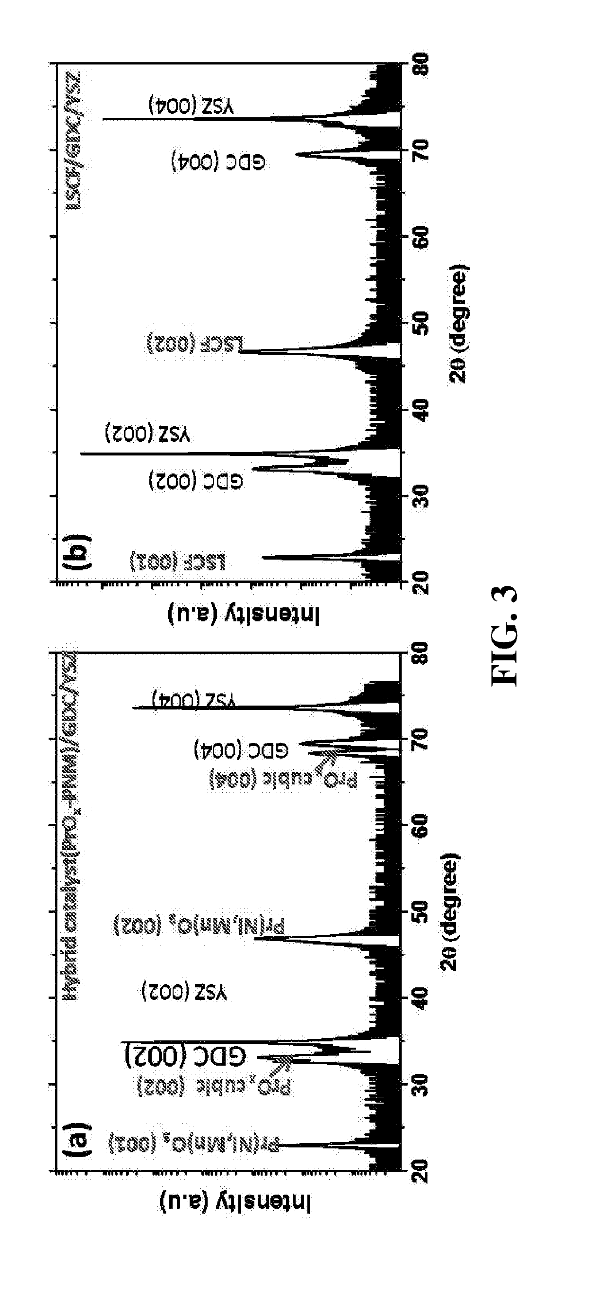 Catalyst coating of a perovskite film and particles exsoluted from the perovskite film