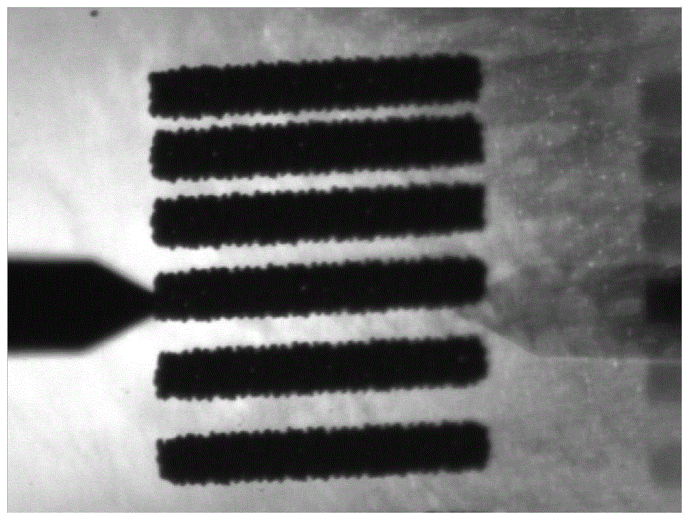 Dual-function electric conduction silver paste for touch screen and preparation method and application thereof