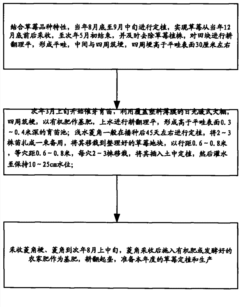 Paddy-upland rotation culture method for strawberries and water chestnuts