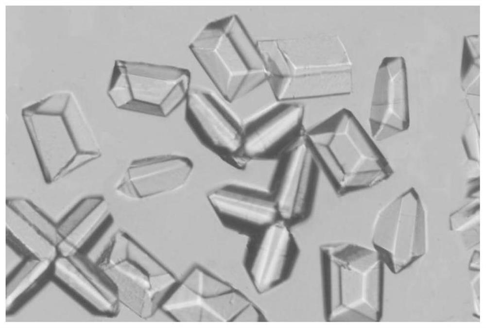 Metal organic framework catalyst as well as preparation method and application thereof