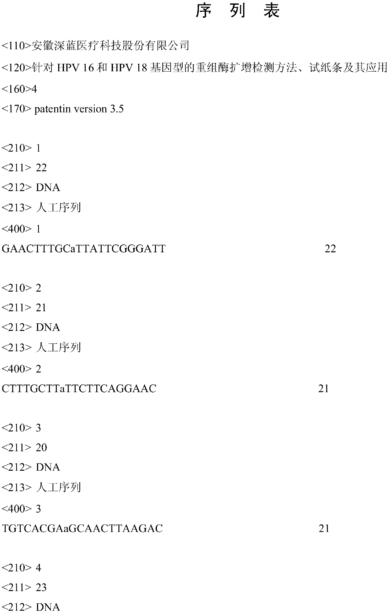 Recombinant enzyme amplification detection method for HPV16 and HPV18 genotypes, test strip and application thereof