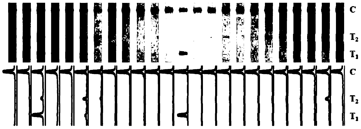 Recombinant enzyme amplification detection method for HPV16 and HPV18 genotypes, test strip and application thereof