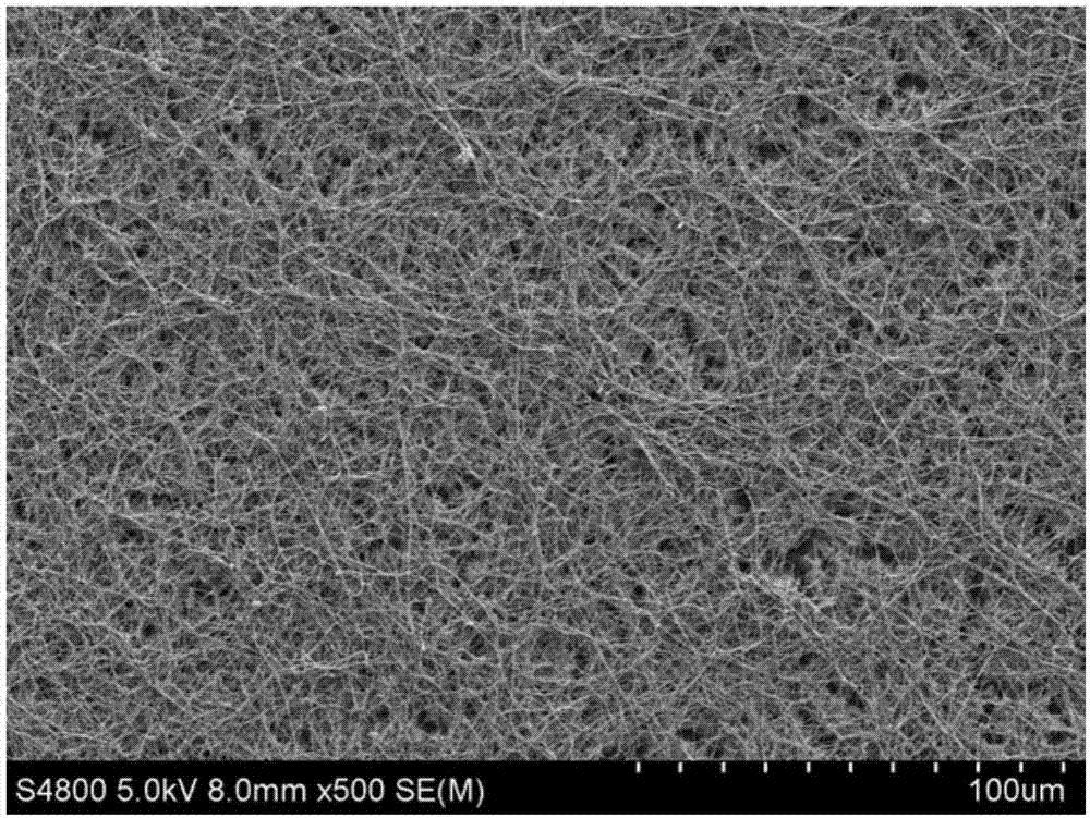 Method for inducing oriented differentiation bone marrow mesenchymal stem cells into osteocytes