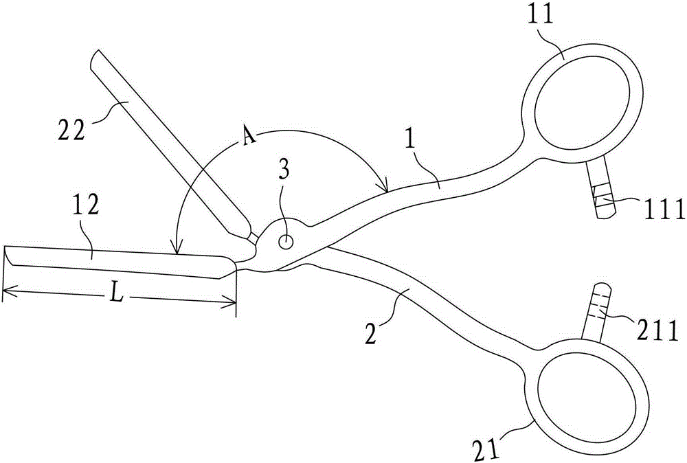 nasal prosthesis implanter