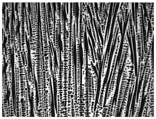 Erosion agent capable of displaying solidified dendritic structure of Fe-36 Ni invar alloy and erosion method of erosion agent