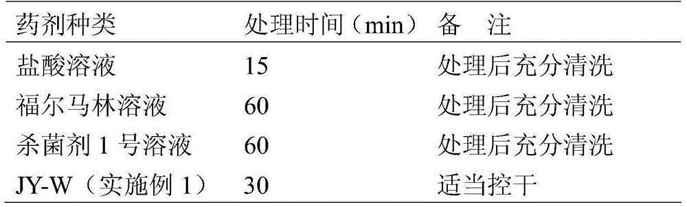 Seed processing agent for preventing cucurbit bacterial fruit blotch