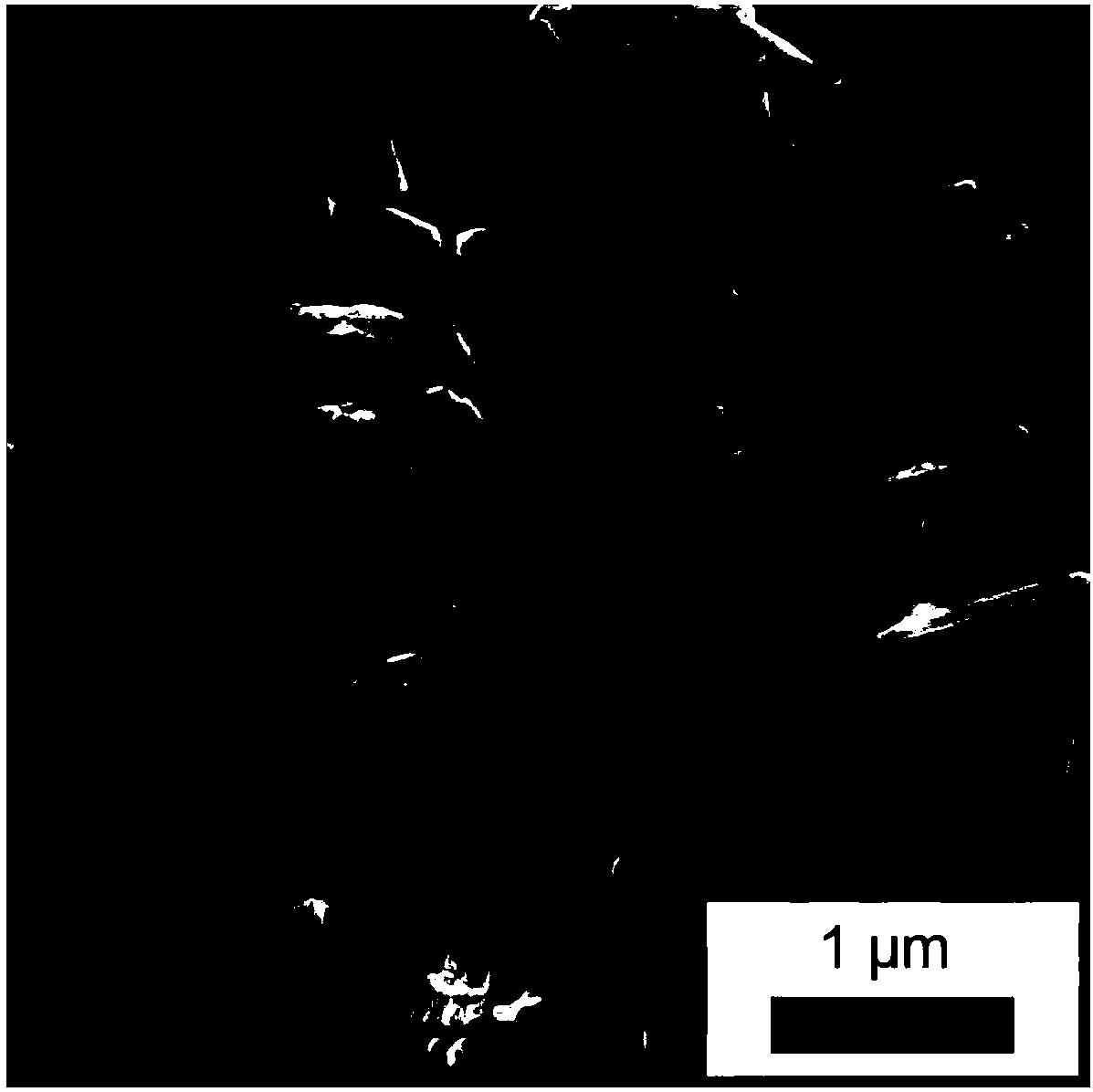 Preparation method of nano sulfur/nitrogen-doped titanium dioxide composite cathode material