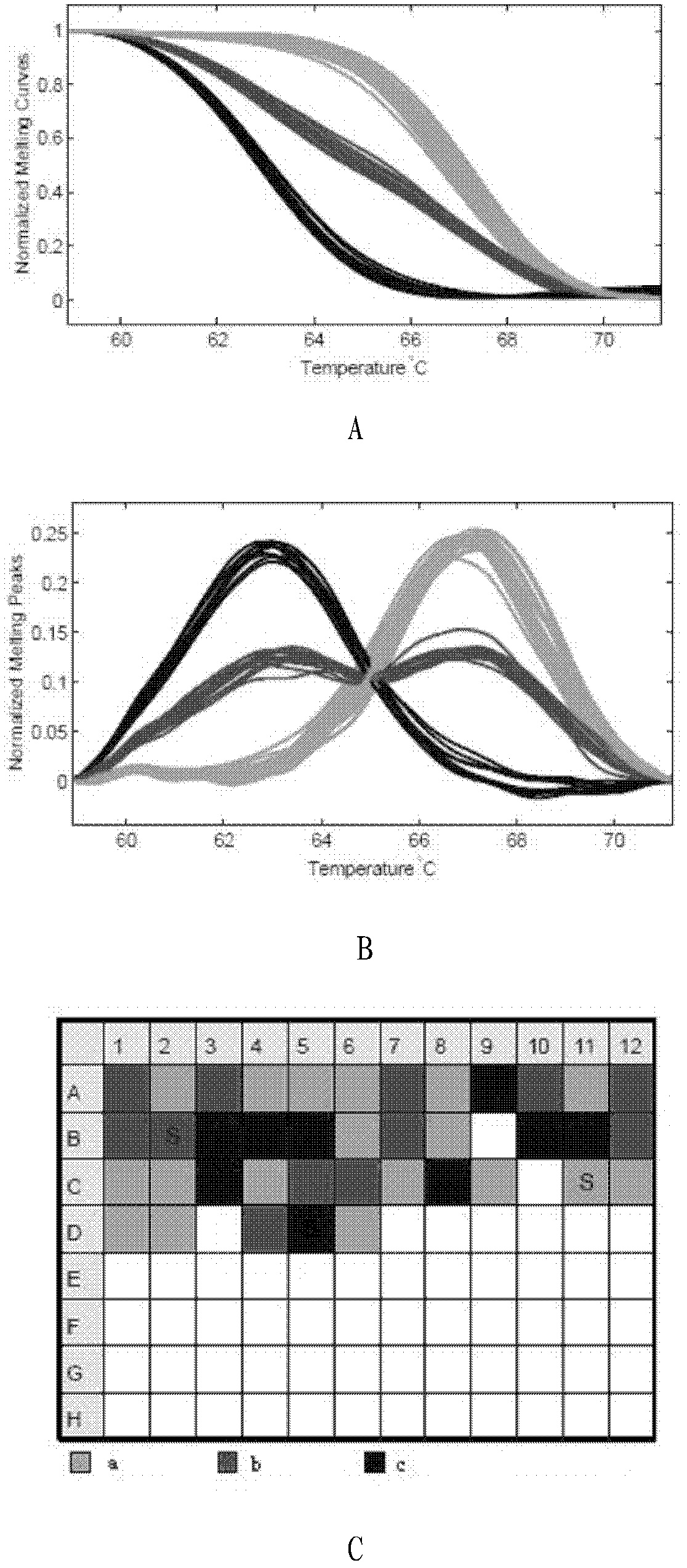 Scophthalmus maximus T170G single nucleotide polymorphic marking detection method