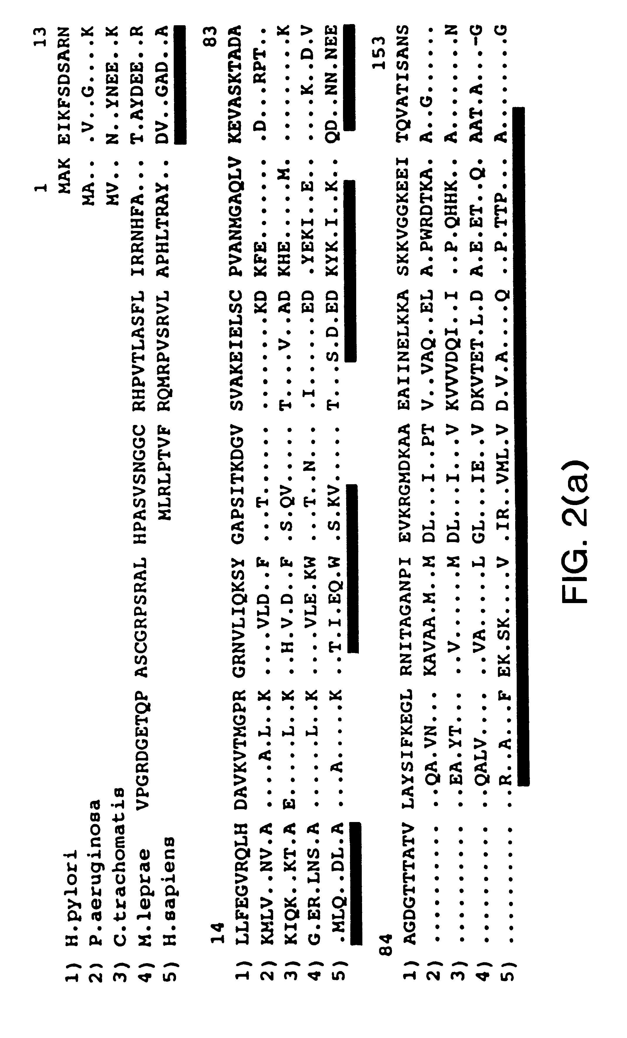 Conjugates formed from heat shock proteins and oligo-or polysaccharides