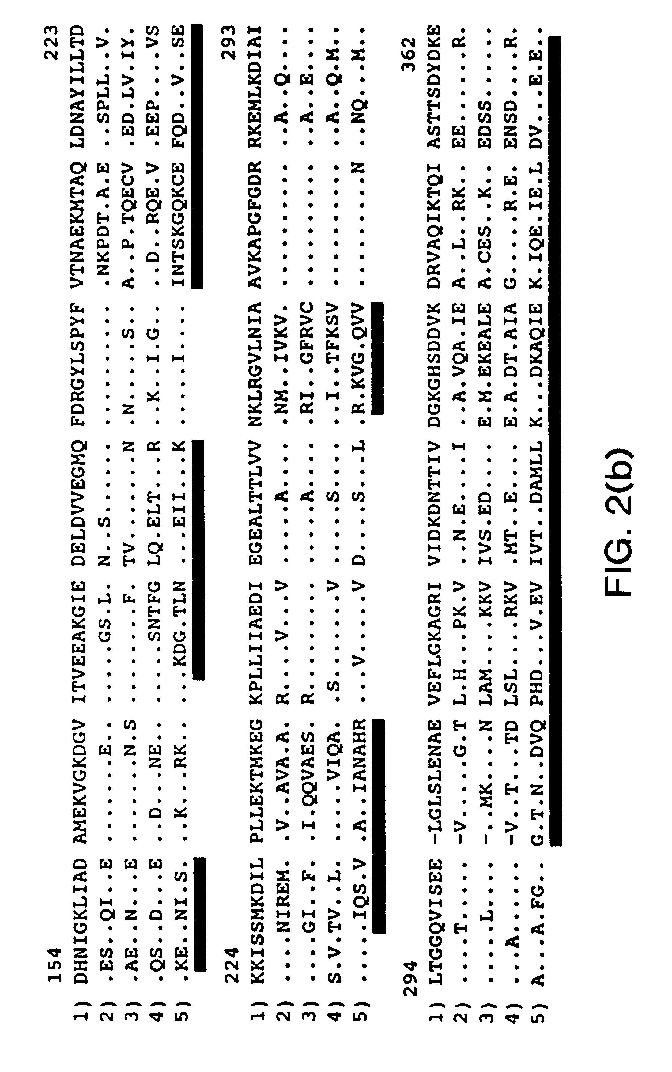 Conjugates formed from heat shock proteins and oligo-or polysaccharides