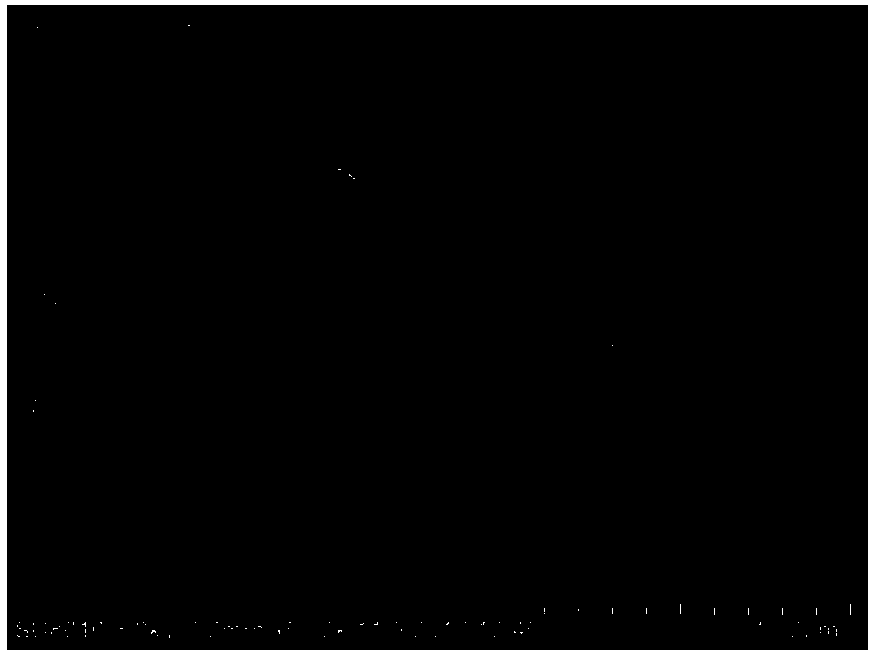 Preparation method of nano lignin particle with uvioresistant effect