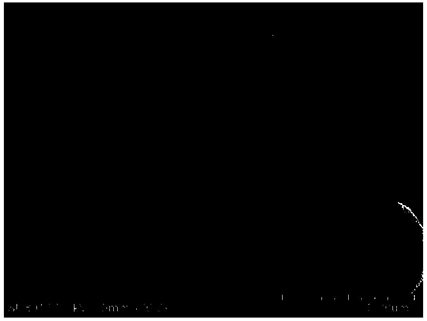 Preparation method of nano lignin particle with uvioresistant effect