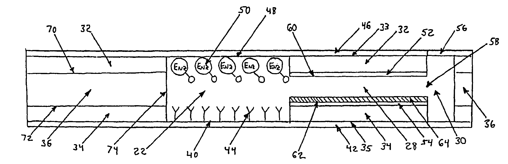 Immunosensor