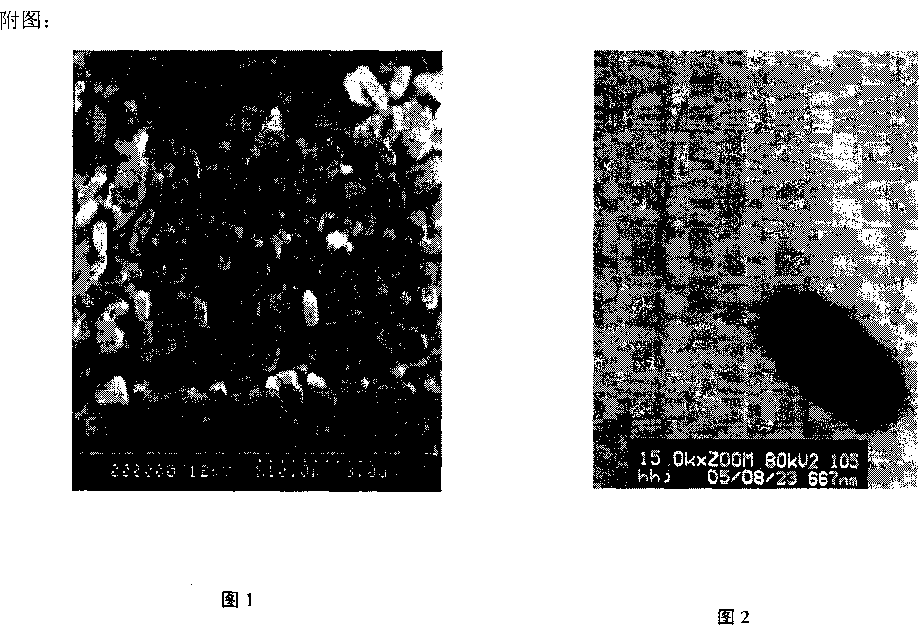 Pseudomonas stutzeri JSD-008 and its degradation function for organophosphorus pesticide