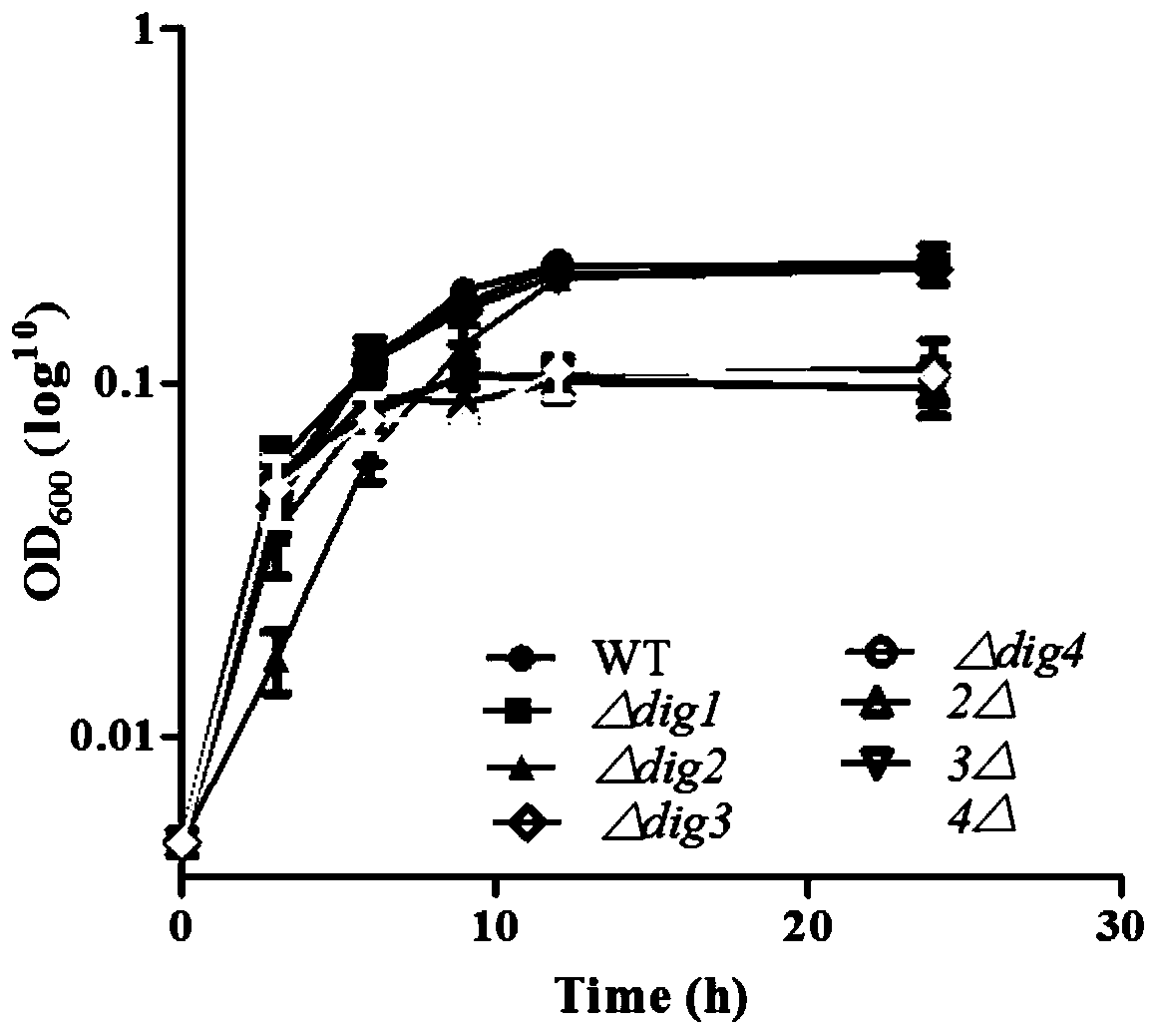 Diffusible signal factor (DSF) quorum sensing signal degradation genes and application thereof