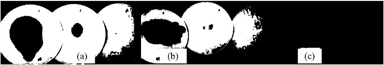 Composite treatment method of radioactive waste oil