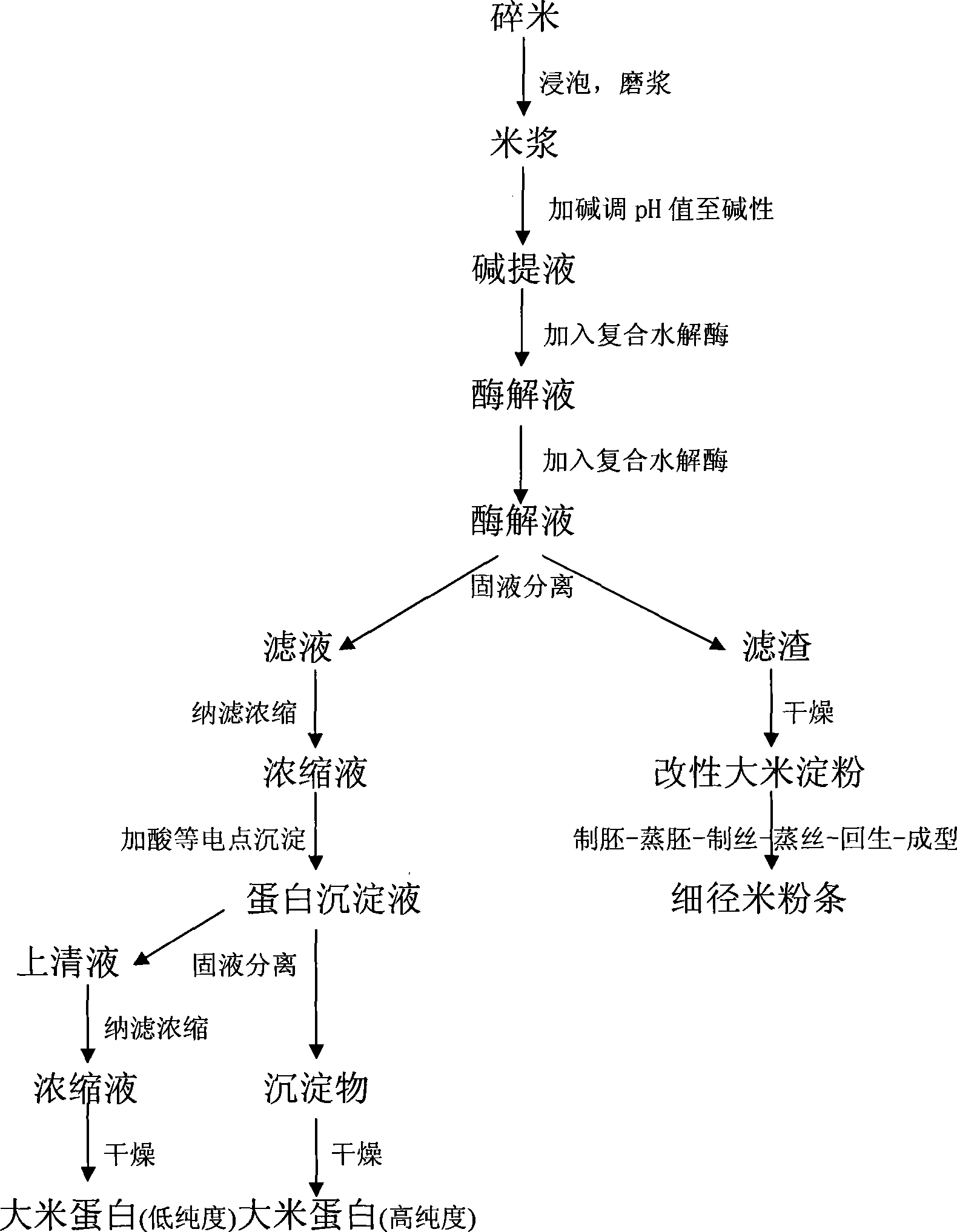 Technique for preparing edible rice protein and thin rice-flour noodles with coproduction of broken rice