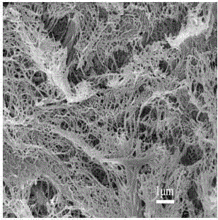 Cellulose based beer stabilizer and preparation method thereof