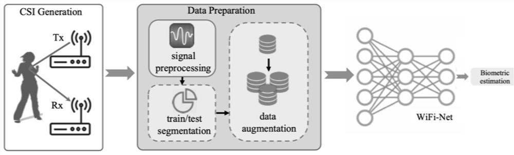 Physiological index measuring method and system based on wireless radio frequency signals