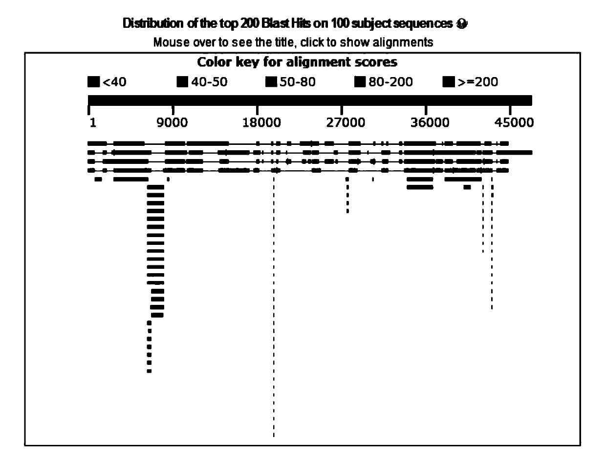 Broad-spectrum salmonella phage LPSTLL and application