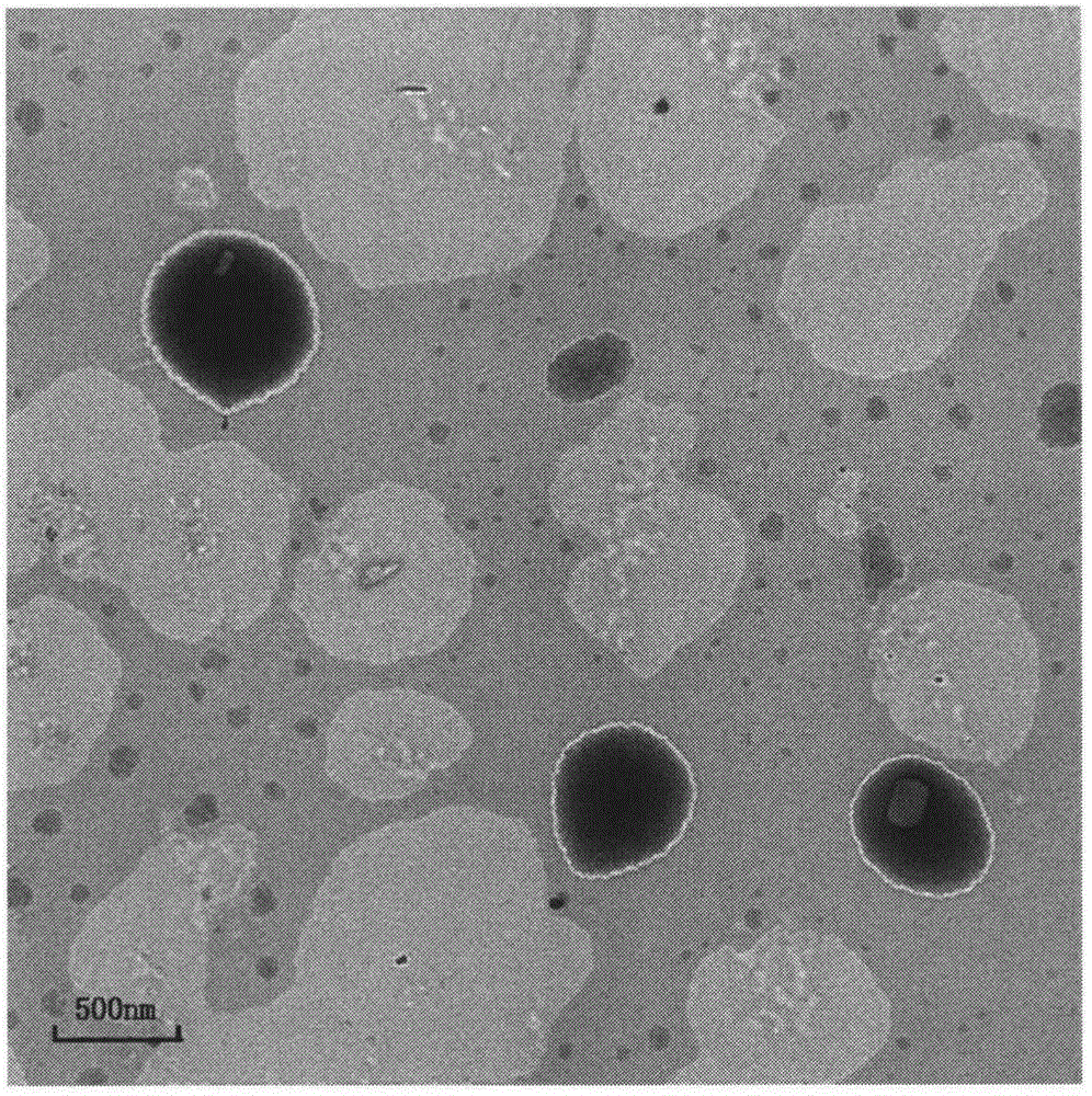 Nanosuspension of P2X7 receptor antagonist employing isoquinoline as basic skeleton and preparation method of nanosuspension