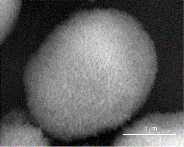 Preparation method of regulable basic cupric carbonate micro-nano hierarchical structure